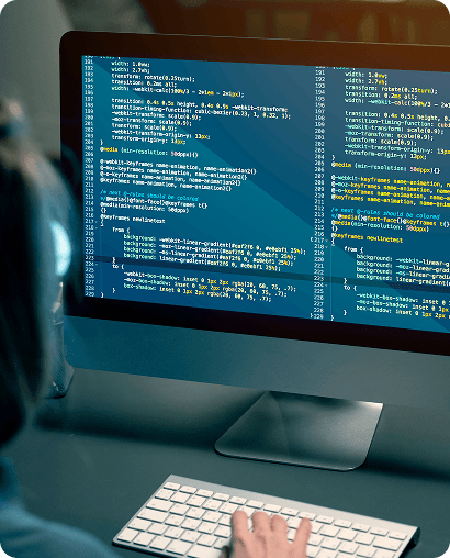 Web Development Service