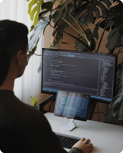 Web Development Service