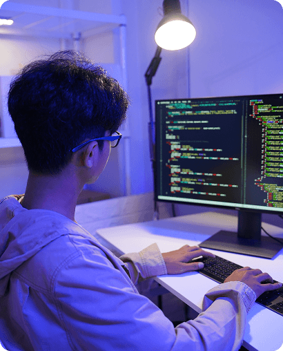 Web Development Service