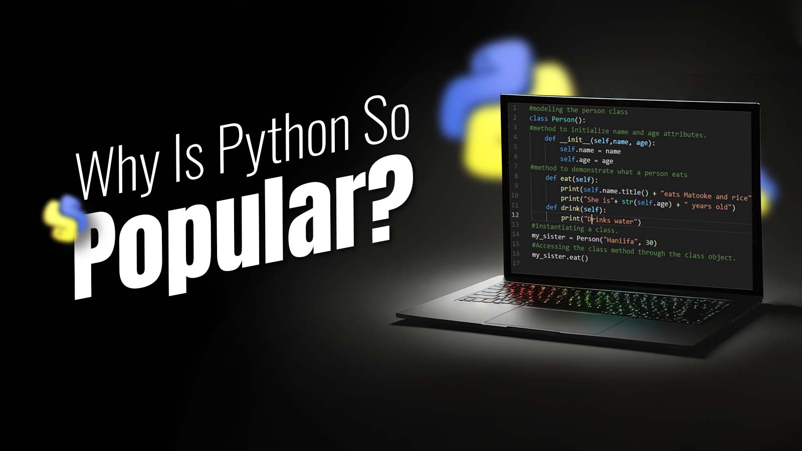 Why Python Is So Popular 